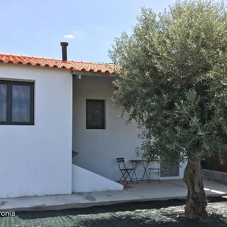 Casas Da Baronia Casa Catarina Villa Vila Nova da Baronia Dış mekan fotoğraf